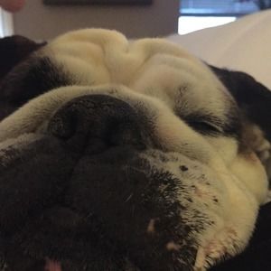 Meet your Posher, Kelli